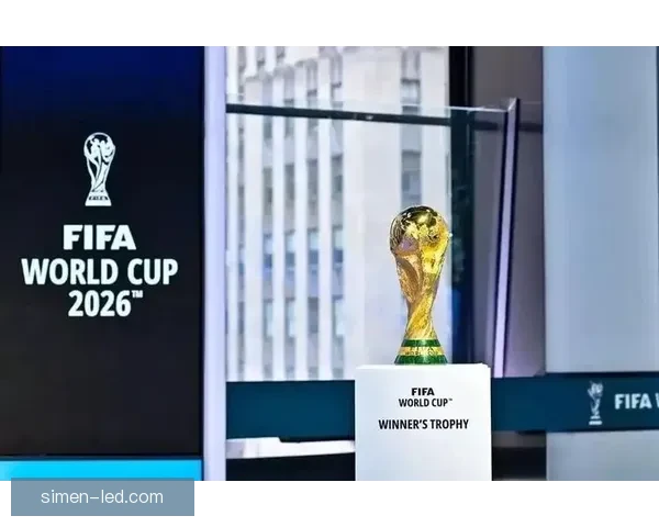 国际足联门票转让引球迷欠款纠纷